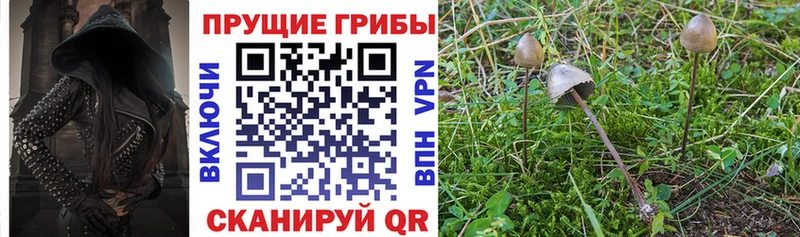 Псилоцибиновые грибы Magic Shrooms  Грозный 