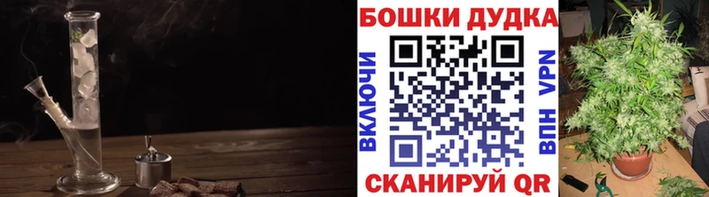 Бошки Шишки VHQ  Грозный 